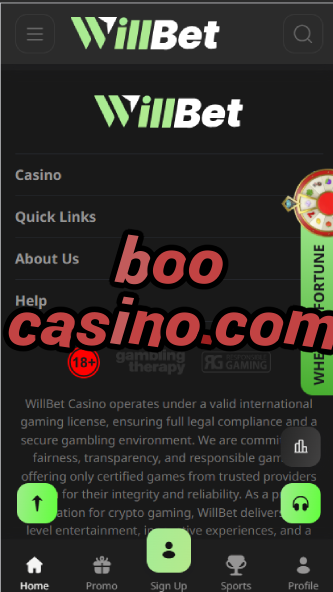 Boo Casino.com - Spooky-Themed Slots & Halloween Bonuses-casinoorder.vip